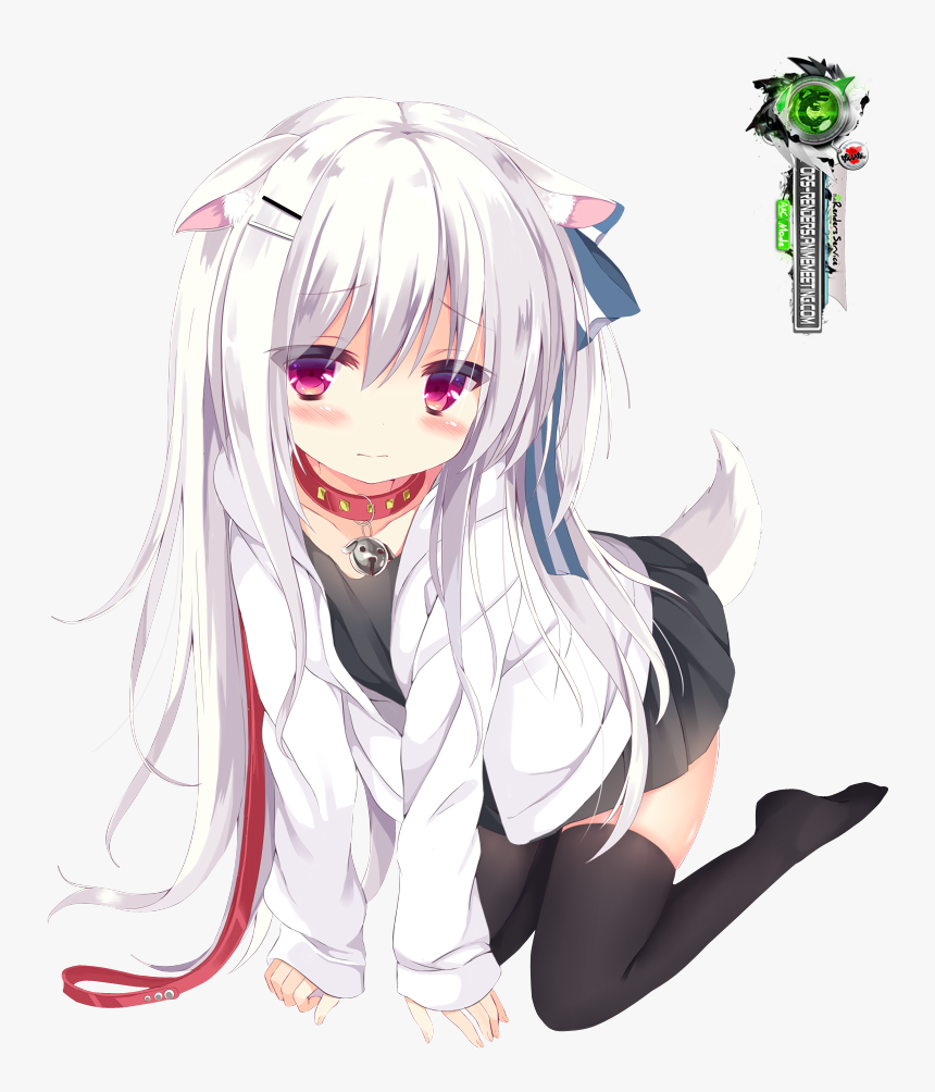 Shy Neko Girl Anime, HD Png Download, Free Download