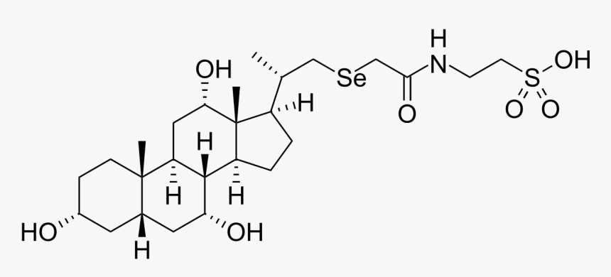Tauroursodeoxycholic Acid, HD Png Download, Free Download