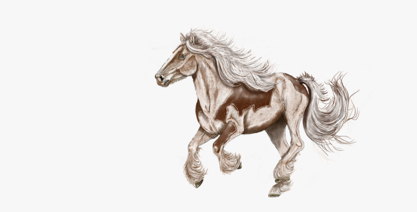 Horse Drawing Digital, HD Png Download, Free Download