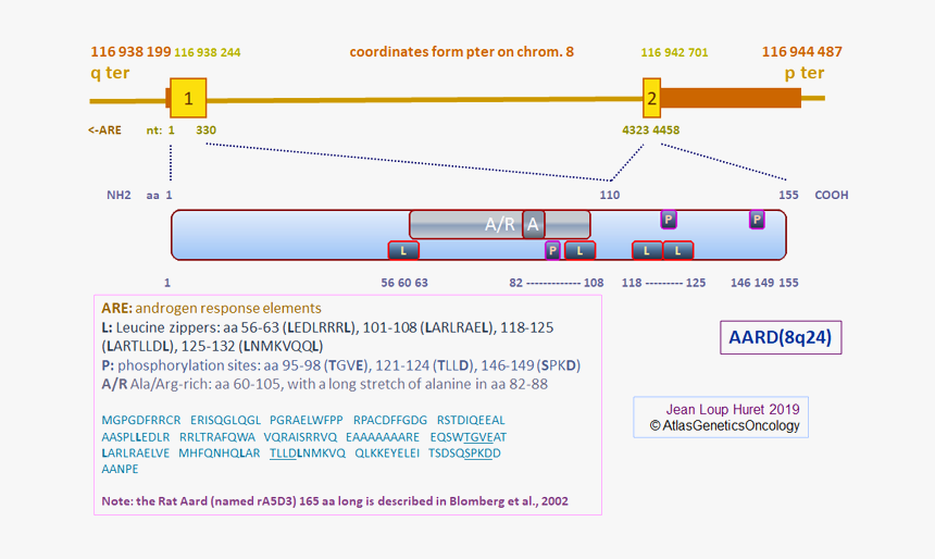 Web Page, HD Png Download, Free Download