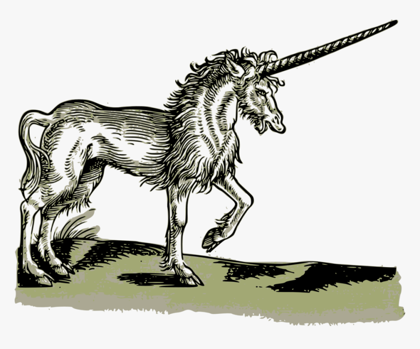 Medieval Unicorn Drawing, HD Png Download, Free Download