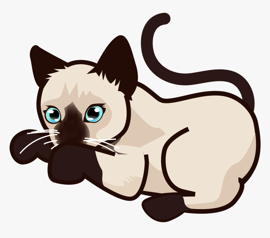 Kitten Vector Png - Siamese Cat Clipart Png, Transparent Png, Free Download