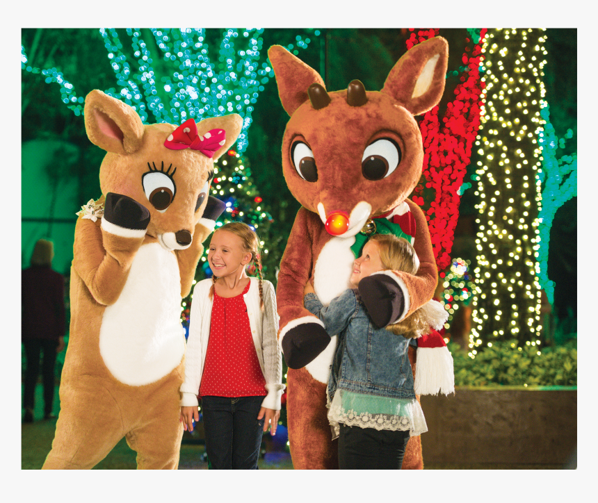 San Diego Zoo Christmas, HD Png Download, Free Download