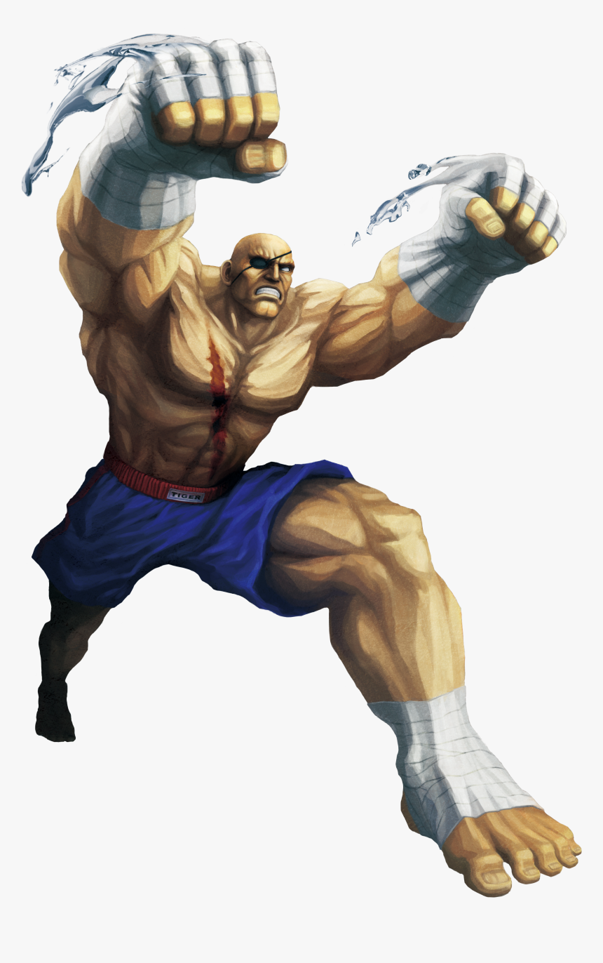 Street Fighter Characters Sagat, HD Png Download, Free Download
