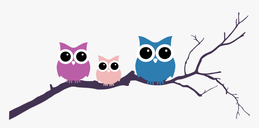 Tree Clipart Owl - Owl On A Branch Drawing, HD Png Download, Free Download