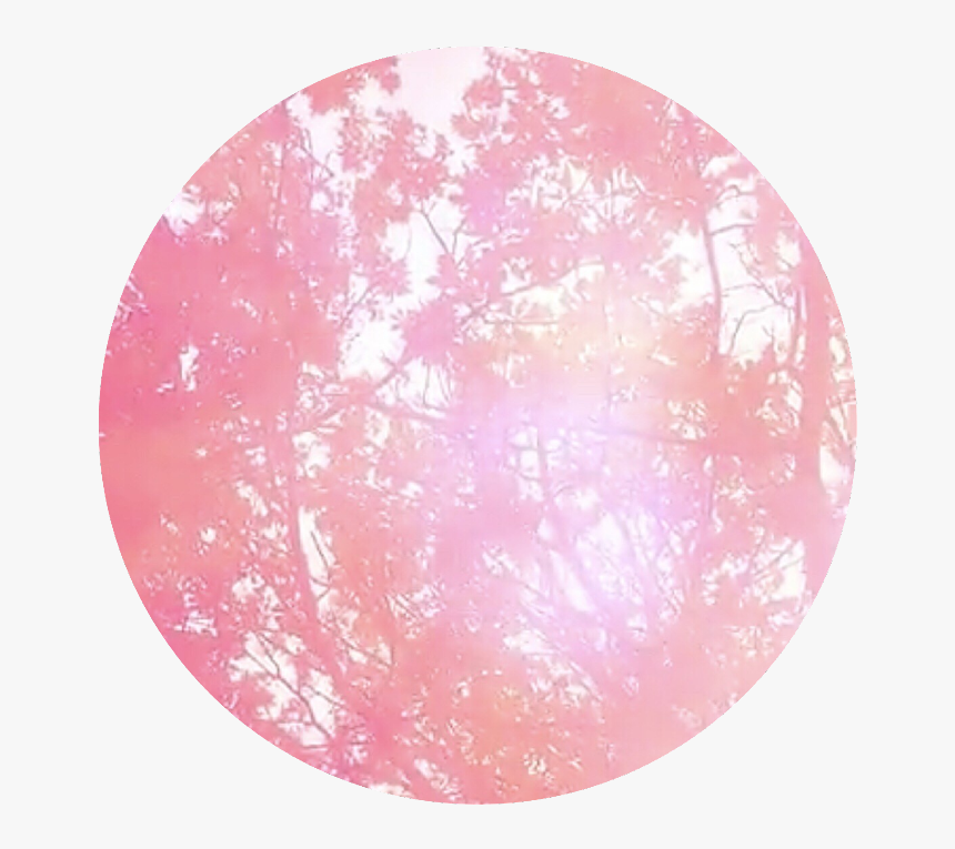 #freetoedit #circle #pink #leaves #tree #trees #circlepng - Circle, Transparent Png, Free Download