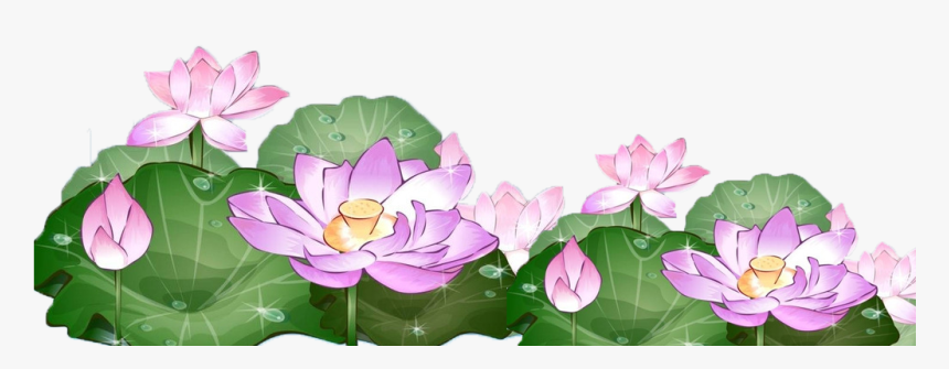Lotus Clipart Hand Drawn - Lotus Flower Frame Png, Transparent Png, Free Download