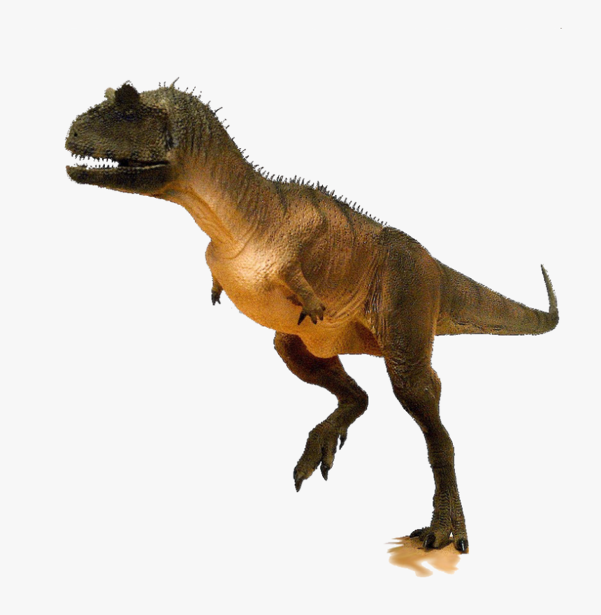 Picture - Carnotaurus Geene Models, HD Png Download, Free Download