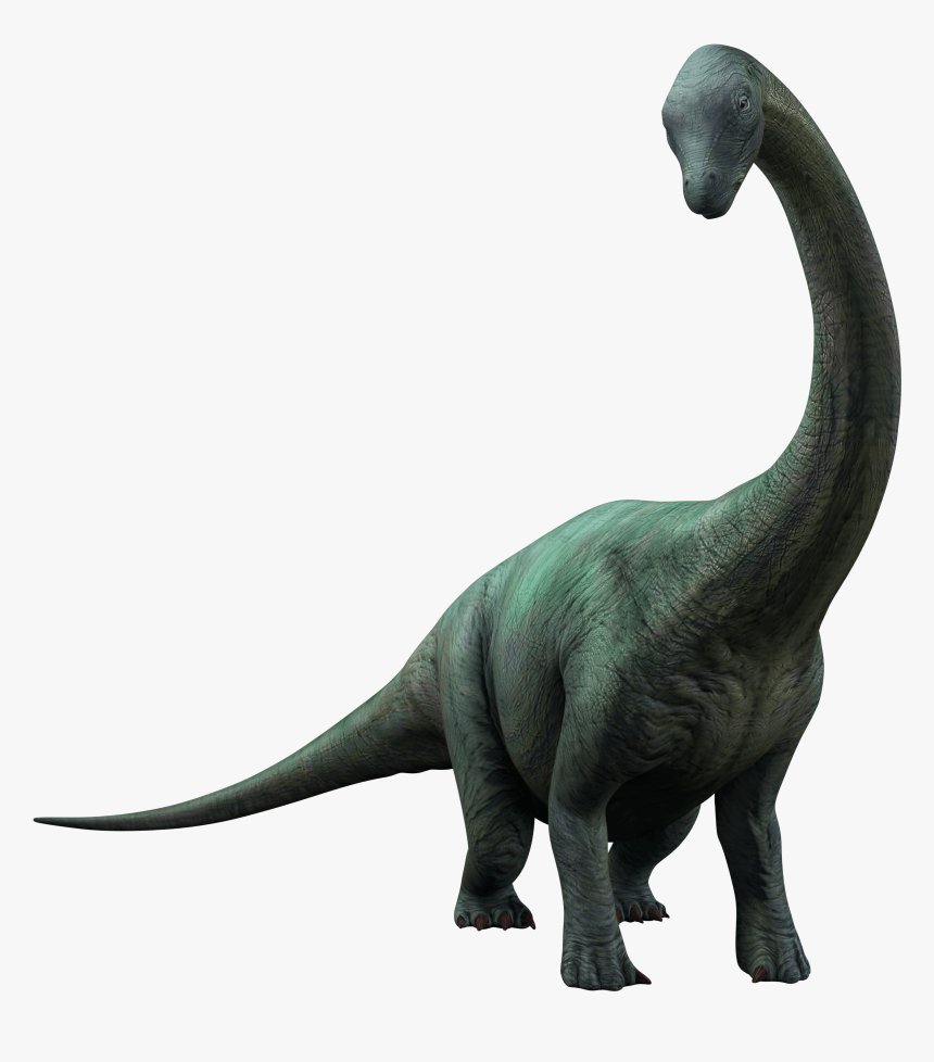 Jurassic World Dinosaurs Apatosaurus, HD Png Download, Free Download