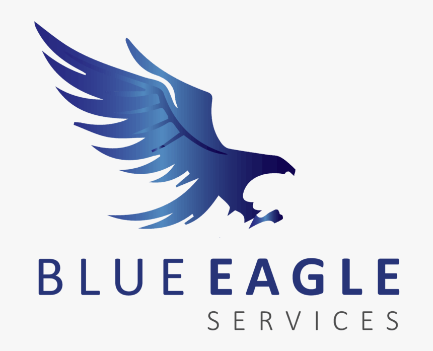 Blue Eagle Handyman Services - Eagle Eye International, HD Png Download ...