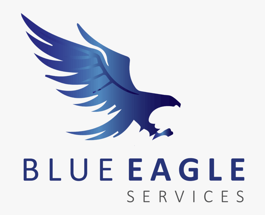 Blue Eagle Handyman Services - Eagle Eye International, HD Png Download, Free Download