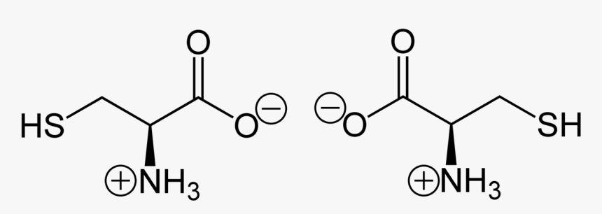 Enantiomero De Cisteina, HD Png Download, Free Download