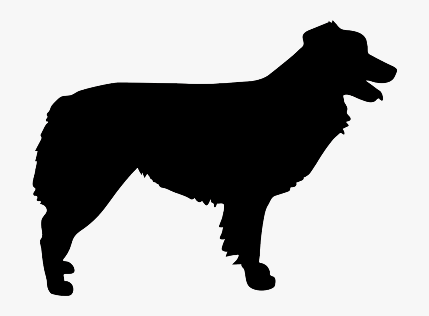 German Wirehaired Pointer Silhouette, HD Png Download, Free Download
