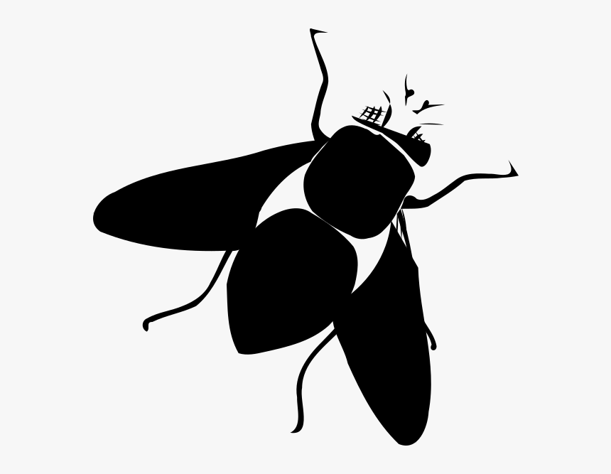 Membrane-winged Insect, HD Png Download, Free Download