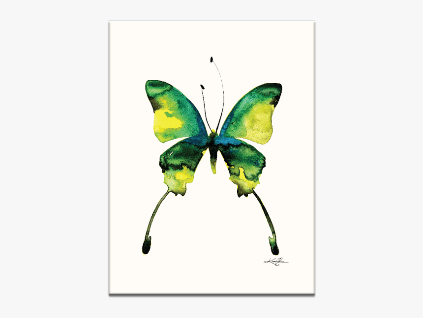 Abstract Watercolor Painting Butterflies Watercolor, HD Png Download, Free Download