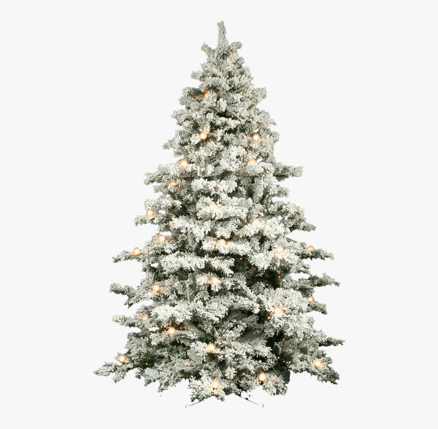 Snow Covered Christmas Tree, HD Png Download, Free Download