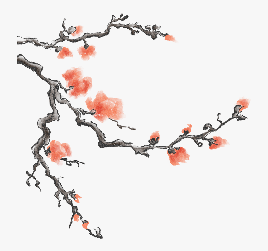 Ilex Decidua, HD Png Download, Free Download