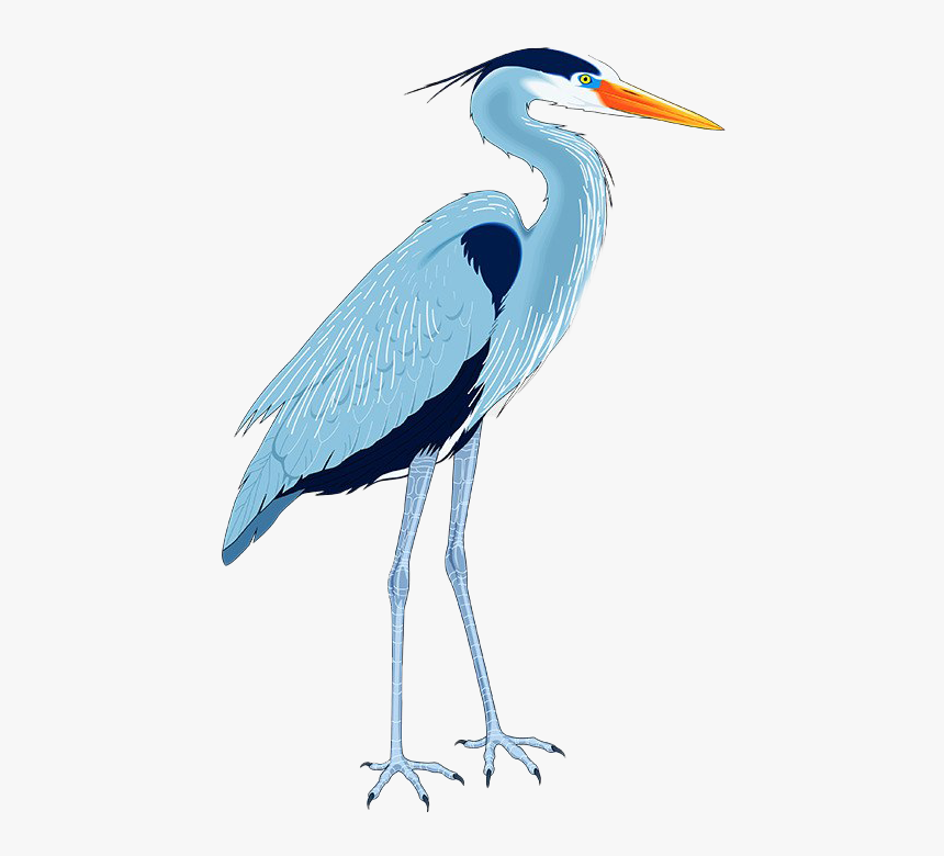 Blue Heron Png Free Download - Blue Heron Royalty Free, Transparent Png, Free Download