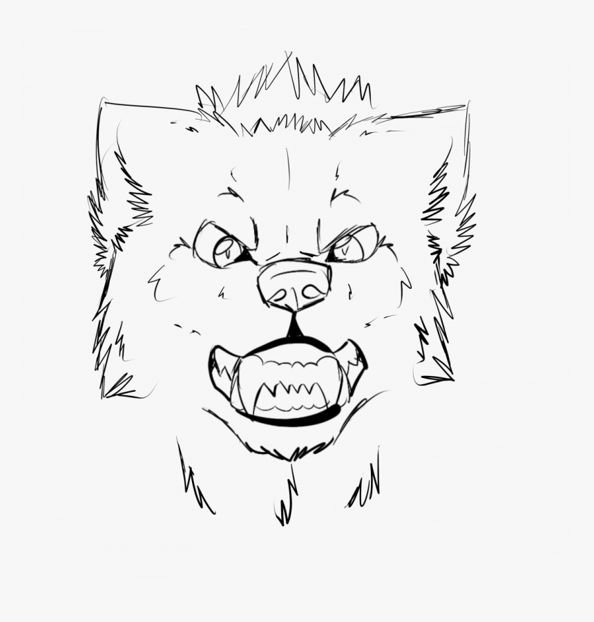 How To Draw An Wolf Head A Front View - Cool Wolf Easy Drawing, HD Png Download, Free Download