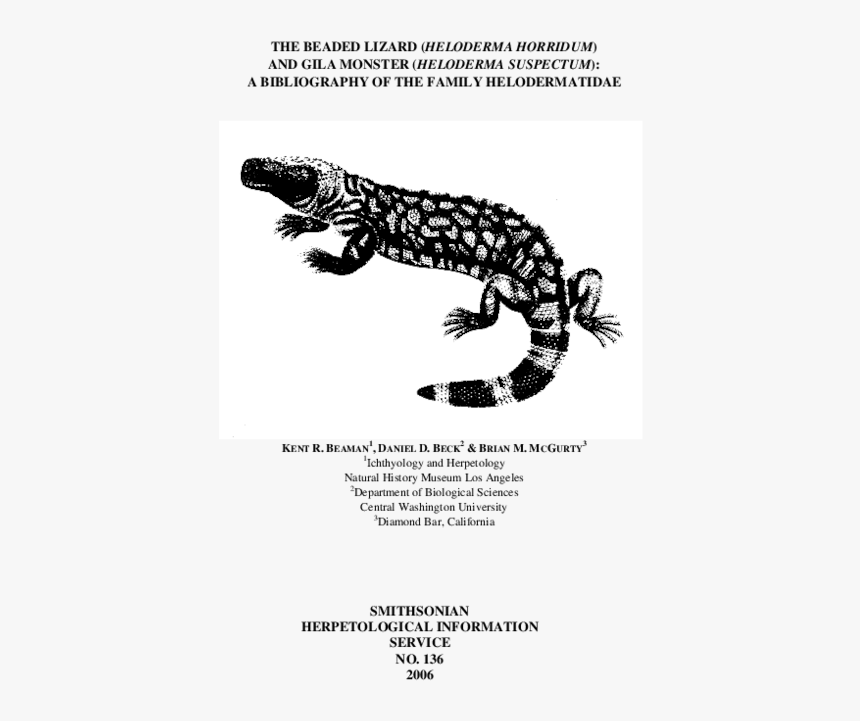 Gila Monster, HD Png Download, Free Download