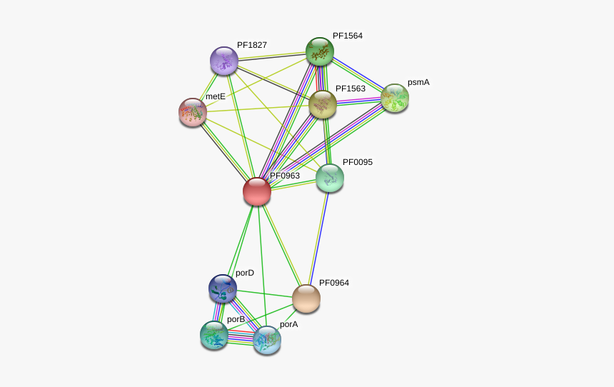Pf0963 Protein - Circle, HD Png Download, Free Download