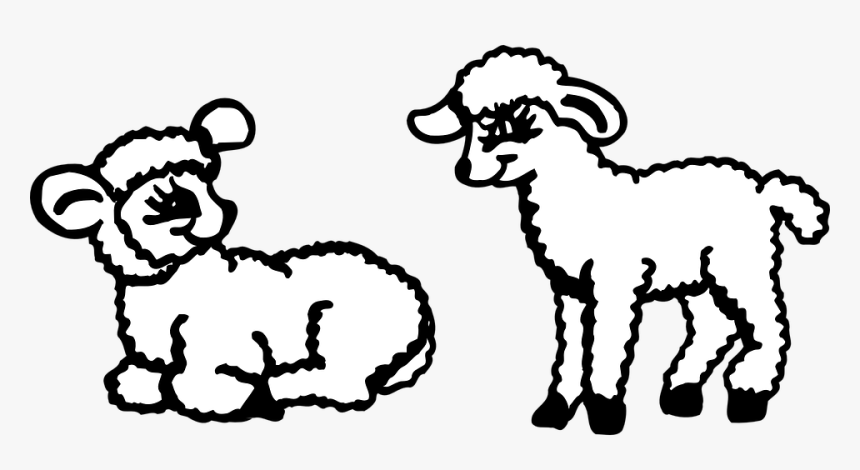 Two Lambs Clip Art, HD Png Download, Free Download