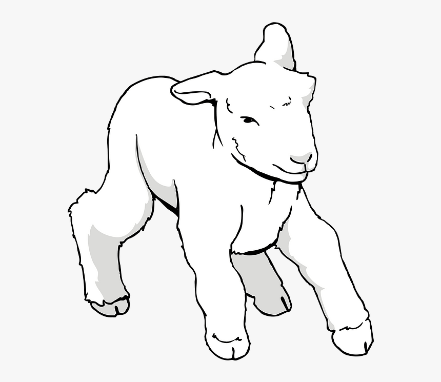 Cordeiro Deitado Png, Transparent Png, Free Download