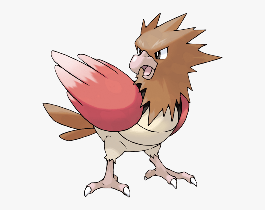 Pokemon Facts - Pokemon Spearow, HD Png Download, Free Download