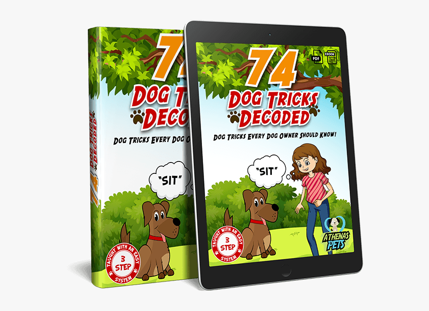 Cartoon, HD Png Download, Free Download