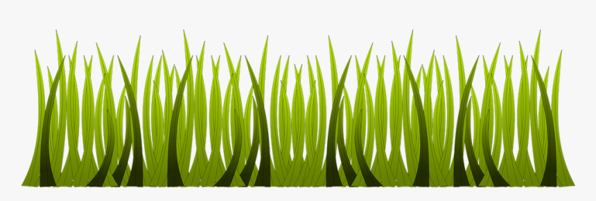 Grass, HD Png Download, Free Download