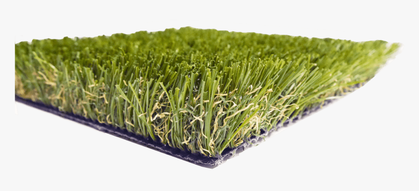 Champ Dark Synthetic Turf - Sweet Grass, HD Png Download, Free Download