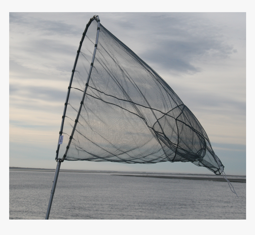 Fishfighter Whitebait Scoop Nets - Whitebait Scoop Net, HD Png Download, Free Download