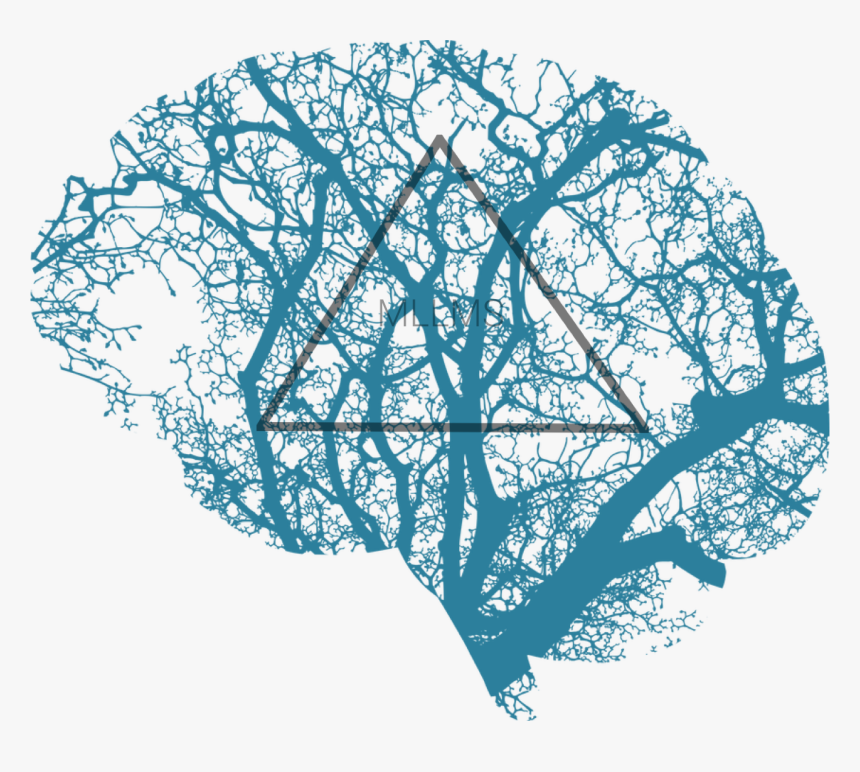 Brain With A Tree Inside, HD Png Download, Free Download