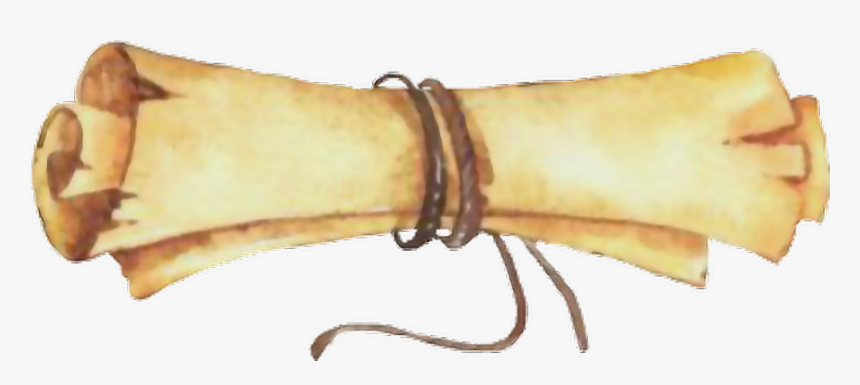 #harrypotter #scroll #parchment #owlpost - Whip, HD Png Download, Free Download