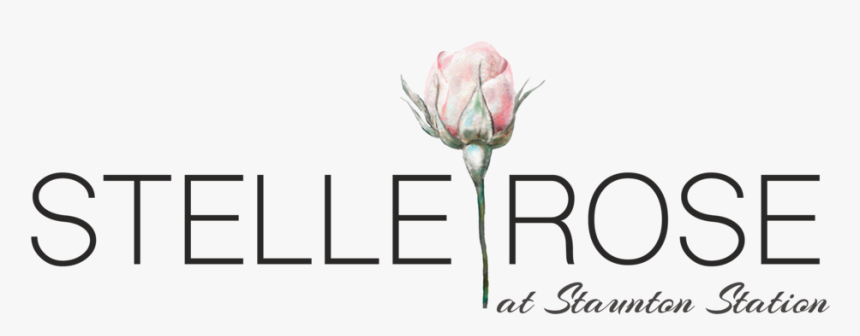 Black Rose Petals Png, Transparent Png, Free Download