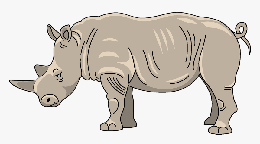 White Rhinoceros, HD Png Download, Free Download