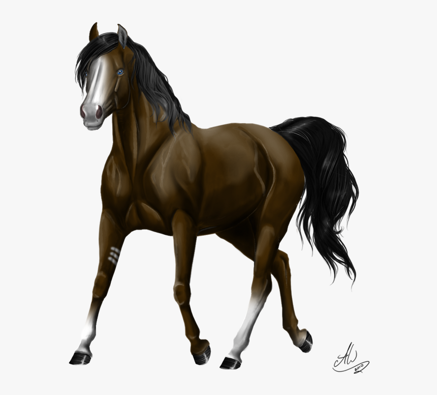 Chestnut Sport Horse Breyer, HD Png Download, Free Download