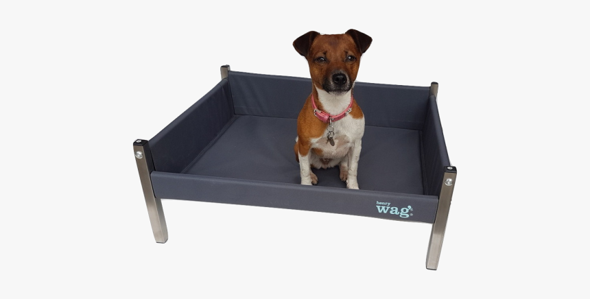 Henry Wag Elevated Dog Bed, HD Png Download, Free Download