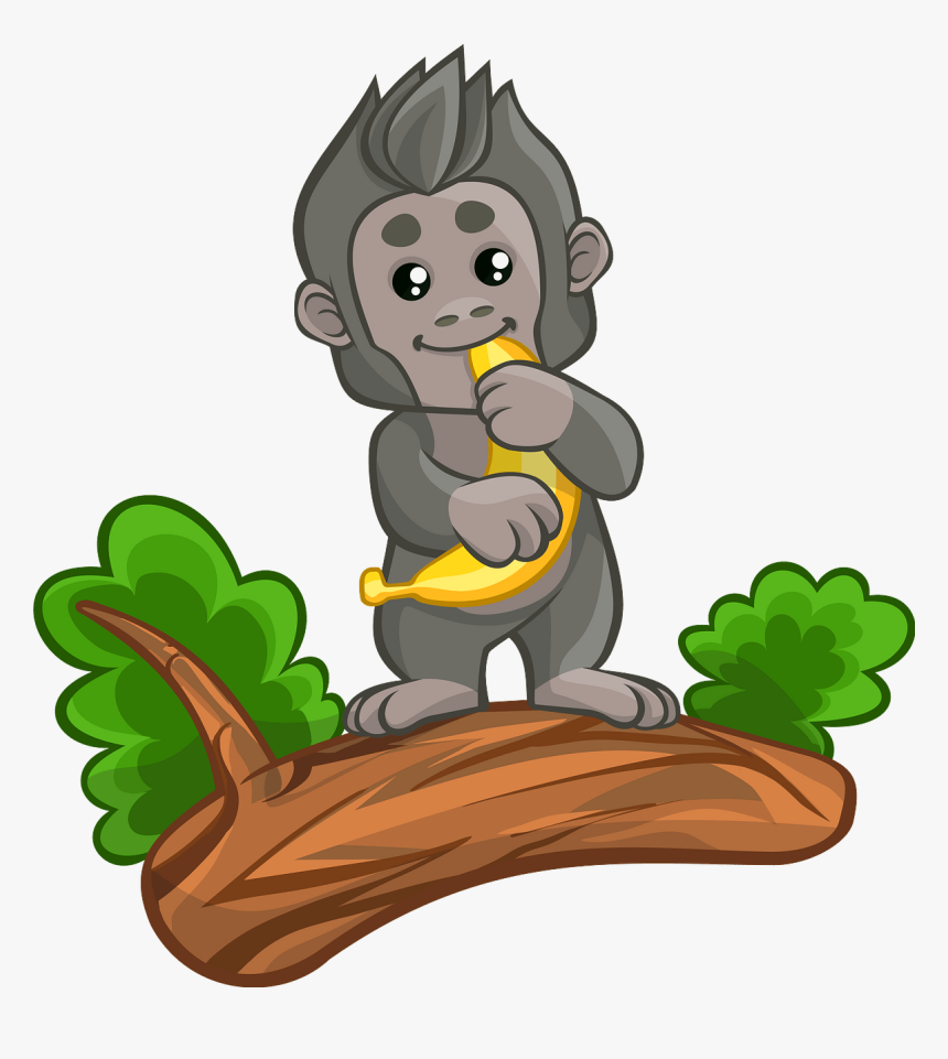 Monkey, HD Png Download, Free Download