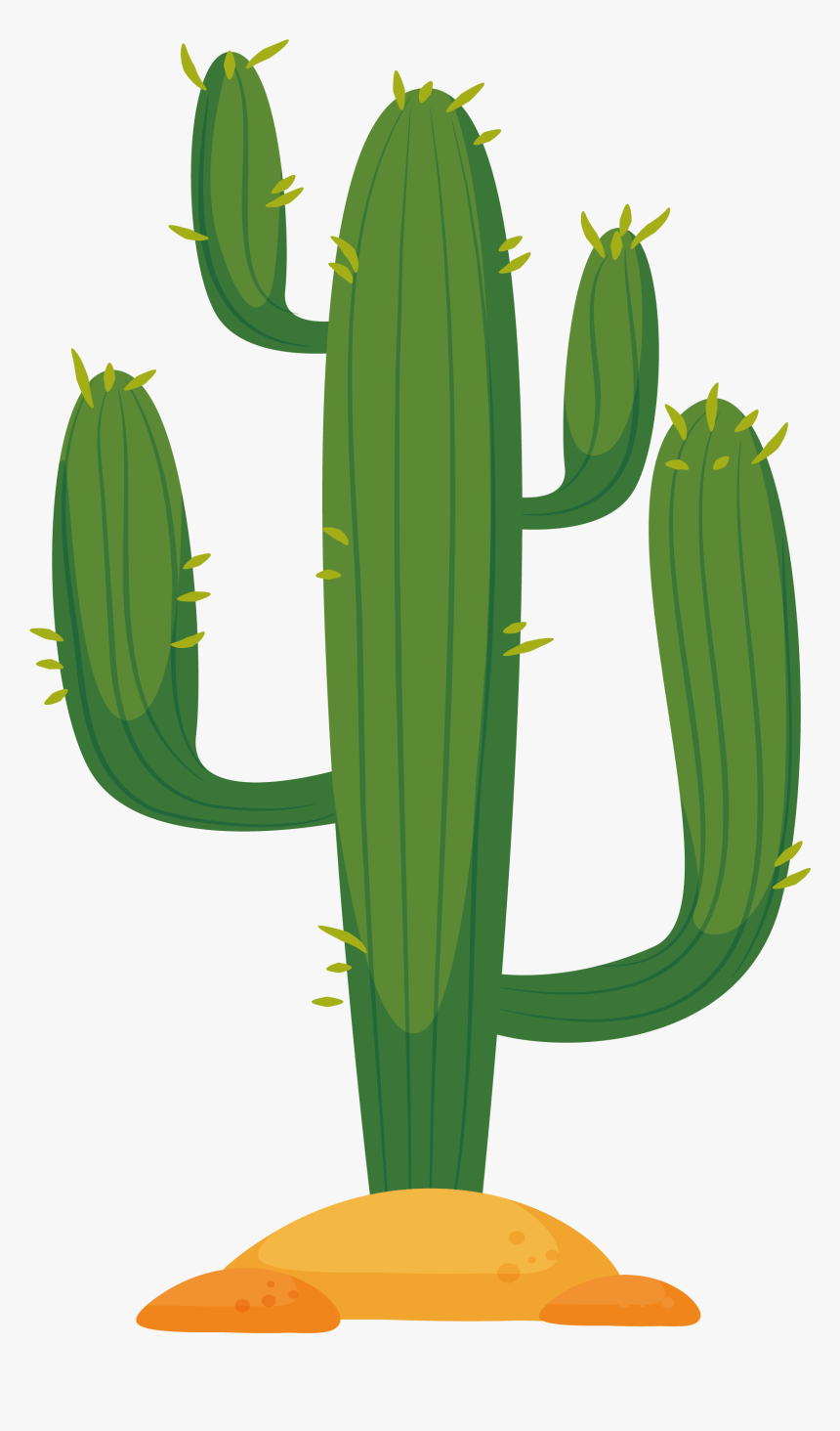 Cactaceae Cactus In The Desert Euclidean Vector - Cactus Clipart Transparent Background, HD Png Download, Free Download