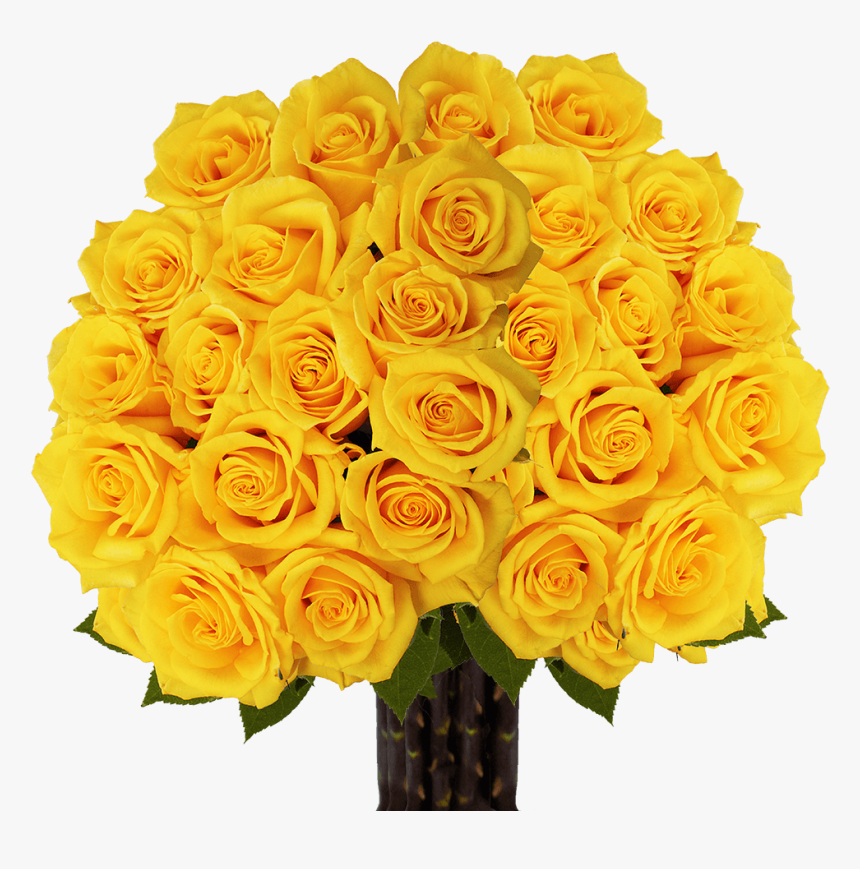 Extra Long Stem Fresh Cut Gold Roses - Garden Roses, HD Png Download, Free Download
