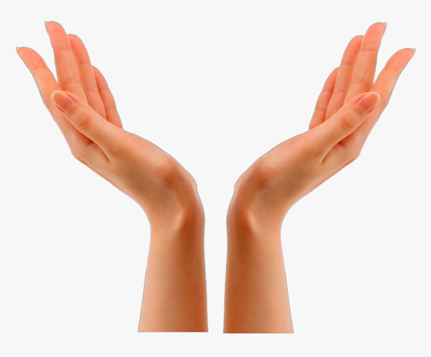 Skeleton Hands Png, Transparent Png, Free Download