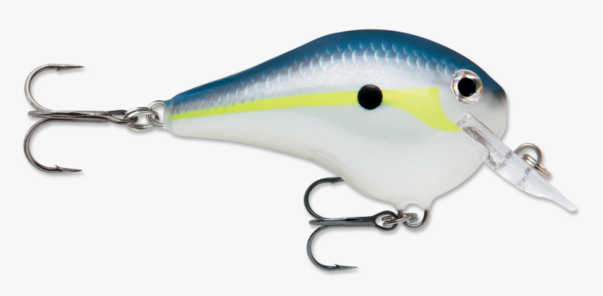 Rapala Dt Fat, HD Png Download, Free Download