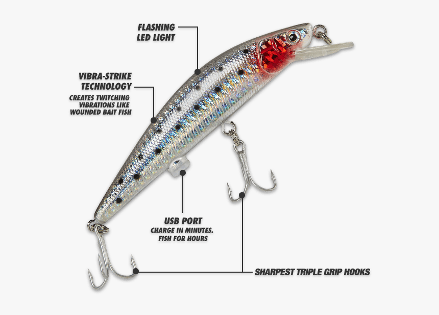 Twitching Lure Reviews - Fishing Rechargeable, HD Png Download, Free Download