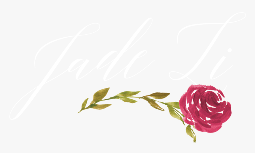 Jadeli Wht 5i - Garden Roses, HD Png Download, Free Download