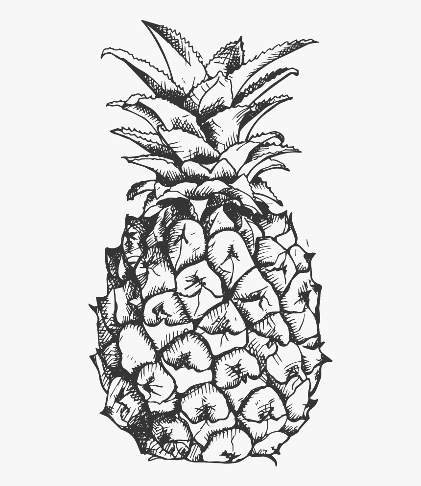 Pineapple Clipart Fancy - Pineapple Vector Black And White, HD Png Download, Free Download