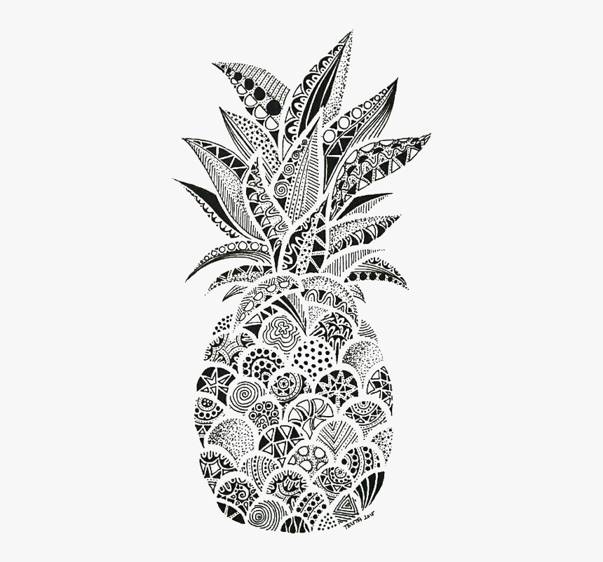 Pineapple Zentangle, HD Png Download, Free Download