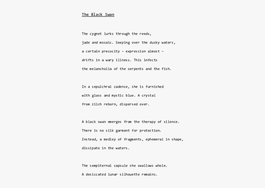Document, HD Png Download, Free Download