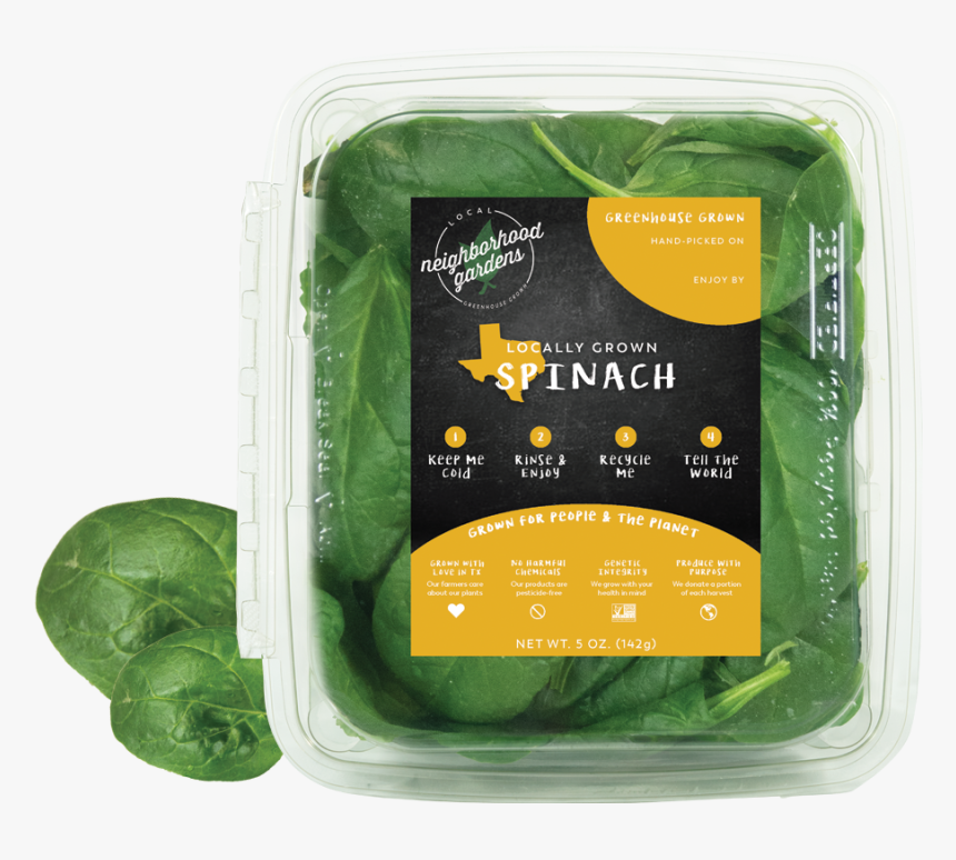 Spinach Sample - Salad, HD Png Download, Free Download