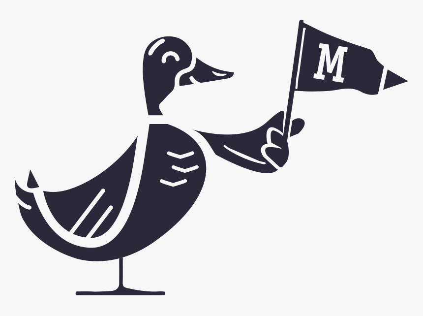 Duck, HD Png Download, Free Download